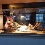 Andre Willigendael - @andrewilligendael - Instagram