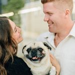Andrew Innes - @andrew_innes - Instagram