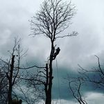 andrew innes - @andrew_3519 - Instagram