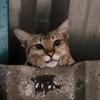 Andrew.Ivan - @andrew.ivan - TikTok