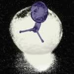 Andrew Jansen - @thestablebubble - Instagram