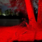 Andrew Janzen - @bernalbit - Instagram