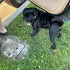 andrewjasso453 - @andrewjasso453 - TikTok