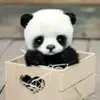 Andrew Osorio Jerez - @andrew.osorio.jer - TikTok