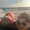 Andrewjerez34 - @andresjerez2378 - TikTok