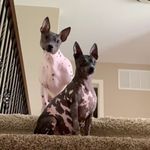 Andrew Jobe - @andrewjobe_ - Instagram
