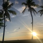 Andrew Johnstone - @johnstone698 - Instagram