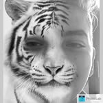 Andrew Joos - @therealandrewjoos - Instagram