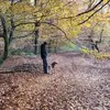 andrewjudd462 - @andrewjudd462 - TikTok