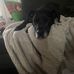 Andrew Kala - Facebook