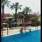 andrewkam - @andrewkamel090 - Instagram