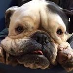 Andrew Keir - @keir_andrew - Instagram