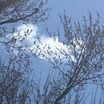 Andrew Kelham - @_.untitled_andy._ - Instagram