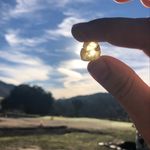 Andrew Kellogg - @fish_the_iron - Instagram