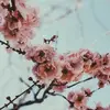 kendrickandrew - @kendrickandrew7 - TikTok