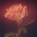 Andrew Kenney - @andrewkenney - Instagram
