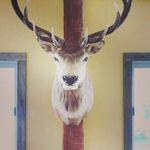 Andrew Kenney - @andrew.kenney.566 - Instagram
