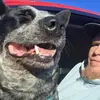 Andrew Kerns - @13goat1379 - TikTok
