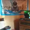 Andrew Killen - @andrew.killen1 - TikTok
