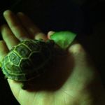 William Andrew Kilner - @wilber_yazo564_ - Instagram