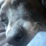 Andrew Kirsch - @akirsch8959 - Instagram