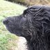Andrew Kitchenside - Facebook