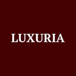 Andrew Klose - @luxuriallc - Instagram