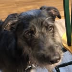 Andrew Knickerbocker - @aknick_aknick - Instagram