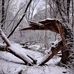 Andrew Knowlton - Facebook