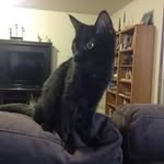 Andrew Knowlton - @andrewsknowlton - Instagram
