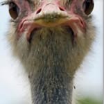 Andrew Kortas - @andrewkortas - Instagram