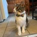 Andrew Koster - Facebook