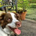 Andrew Kral - @koolaid328i - Instagram