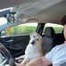Andrew Krupp - Facebook