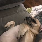 Andrew Kruszewski - @drewk3873 - Instagram