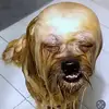 Andrew Kuzyk - @andrew.kuzyk - TikTok