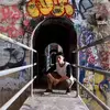 andrewkwok380 - @andrewkwok380 - TikTok