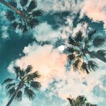 Andrew Lamonica - @andrew172373 - Instagram
