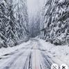Andrew Lamonica - @andrewlamonica7 - TikTok