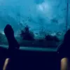 Andrew Larose - @andrew_larose7 - TikTok