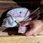 Andrew Larsen - @not_a_fishmonger - Instagram