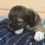 Andrew latchmanen - @latchmanenandrew - Instagram