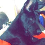 Andrew Leavitt - @andrewleavitt36 - Instagram