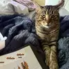 Andrew Leavitt - @andrew.leavitt5 - TikTok