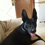 Andrew P L. - @andrew__leavitt - Instagram
