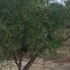 Andrew Cleber - @andrew.cleber - TikTok