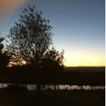 Andrew Ledger - @regdell - Instagram