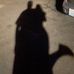 Andrew Ledoux - Facebook