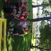 Andrew Leick - Facebook