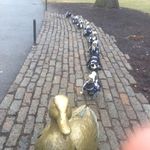 Andrew - @andrew_levesque_ - Instagram